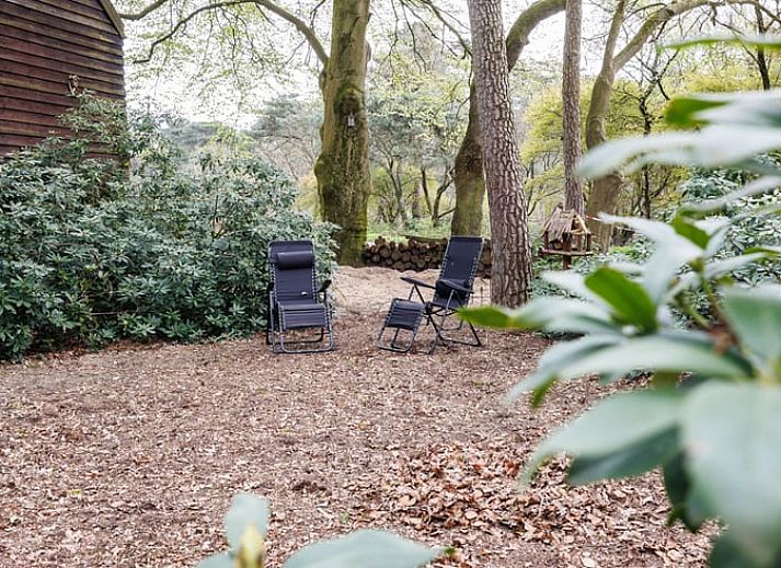 Woonkamer van Huisje in Wekerom, vakantieverblijf in Wekerom, Veluwe met kunst aan de muur.