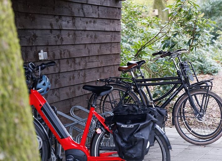 Moderne keuken in Huisje in Wekerom, vakantiehuis in Gelderland, volledig uitgerust voor een comfortabel verblijf.