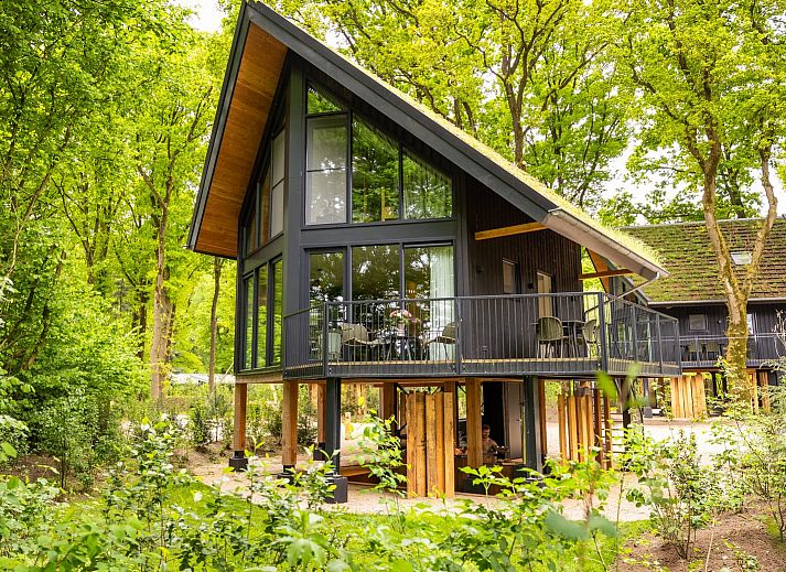 Nature Villa with Hot tub in Wekerom, Veluwe, vacation home surrounded by greenery.