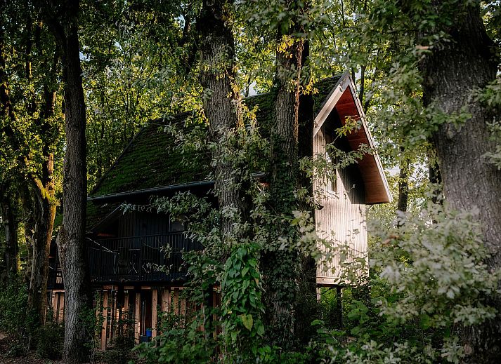 Naturvilla mit Whirlpool & Sauna in Wekerom, Veluwe. Charmantes Ferienhaus umgeben von gruenen Waeldern, ideal zum Entspannen.