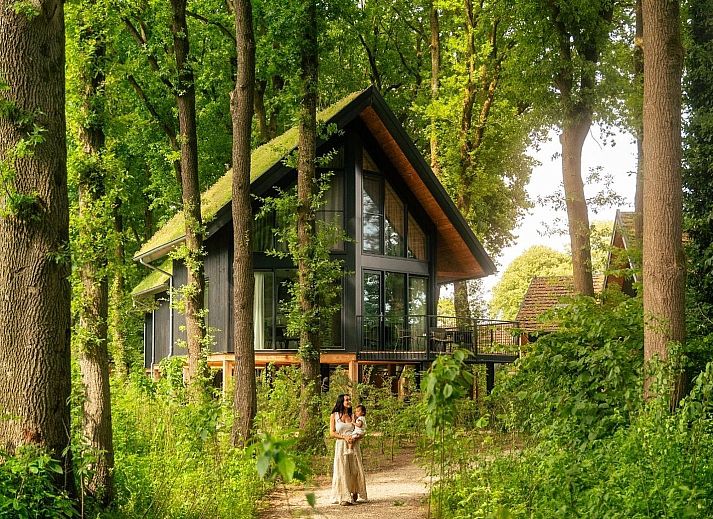 Naturvilla mit Whirlpool & Sauna in Wekerom, Veluwe. Charmantes Ferienhaus umgeben von gruenen Waeldern, ideal zum Entspannen.