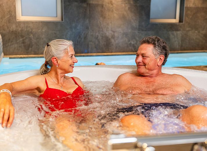 Guest house 325532 - Holiday property Veluwe - Veluwe Villa met Binnenzwembad &amp; Wellness | 12 personen