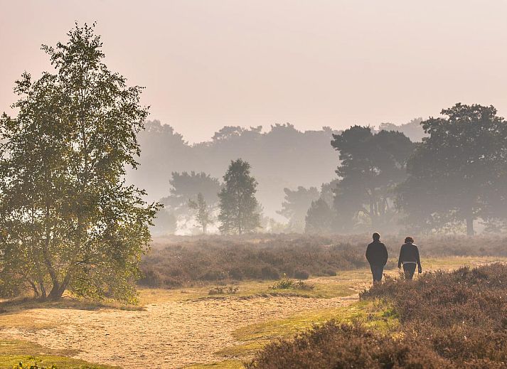 Gemuetliches Wohnzimmer in Naturvilla mit Whirlpool und Sauna, Wekerom, Veluwe. Ideal fuer Entspannung.