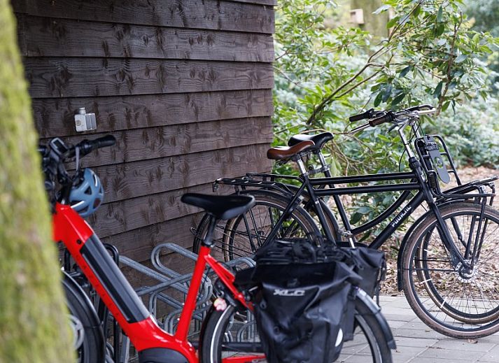 Attraktives Schlafzimmer des Studios REE in Wekerom, Veluwe, Gelderland mit Blick auf ein bewaldetes Gebiet.