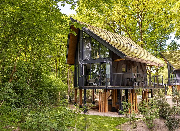 Veranda of Nature Villa mit Whirlpool in Wekerom, Veluwe, Gelderland, Ferienwohnung fuer 2 Personen