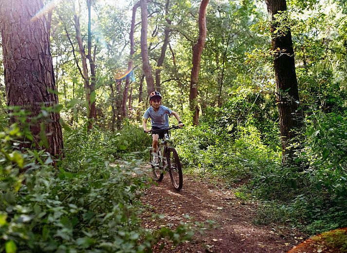 Geniessen Sie den Whirlpool in Nature Villa with Hottub, Wekerom, Veluwe, Gelderland, Ferienwohnung fuer 2 Personen