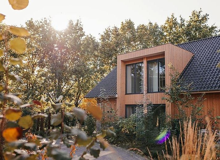 Guest house 325543 - Holiday property Veluwe - Heide Villa met Hottub & Sauna | 18 personen