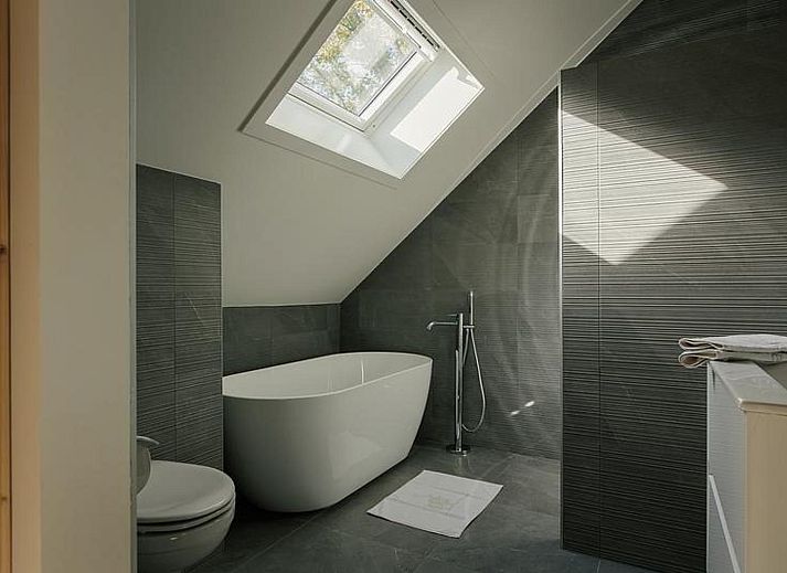Guest house 325543 - Holiday property Veluwe - Heide Villa met Hottub & Sauna | 18 personen