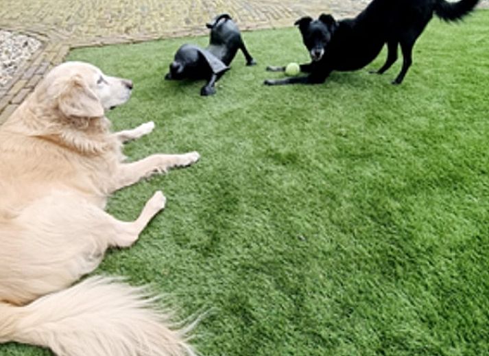 Gemuetliche Sitzecke mit Kamin im Ferienhaus Hoog Soeren, Veluwe.