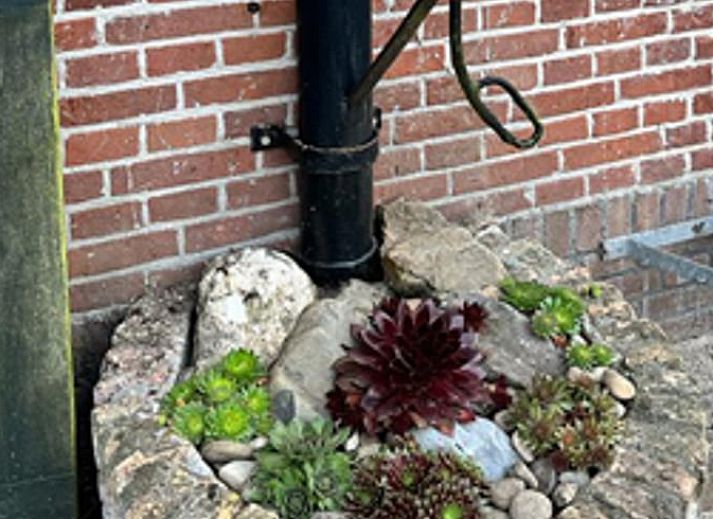 Gemuetliche Sitzecke mit Kamin im Ferienhaus Hoog Soeren, Veluwe.