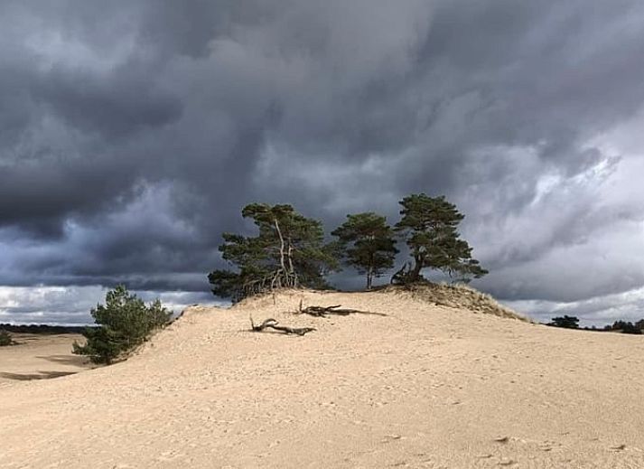Komfortabler Wohnraum im Ferienhaus Hoog Soeren, Veluwe, Gelderland.