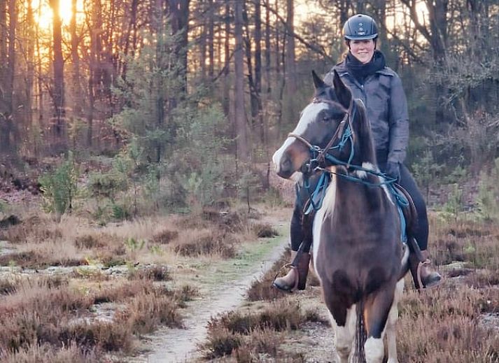Warme Sitzecke mit Holzofen im Ferienhaus Hoog Soeren, Veluwe.