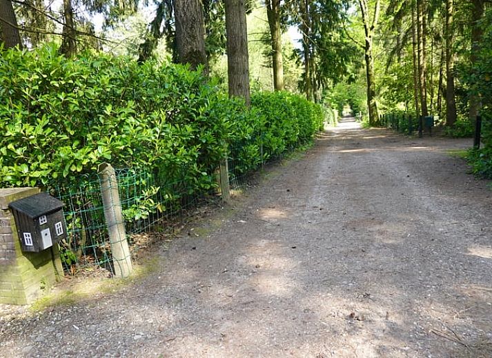 Gezellig vakantiehuisje in Bennekom omringd door Veluwse natuur, ideaal voor een ontspannen verblijf in Gelderland.