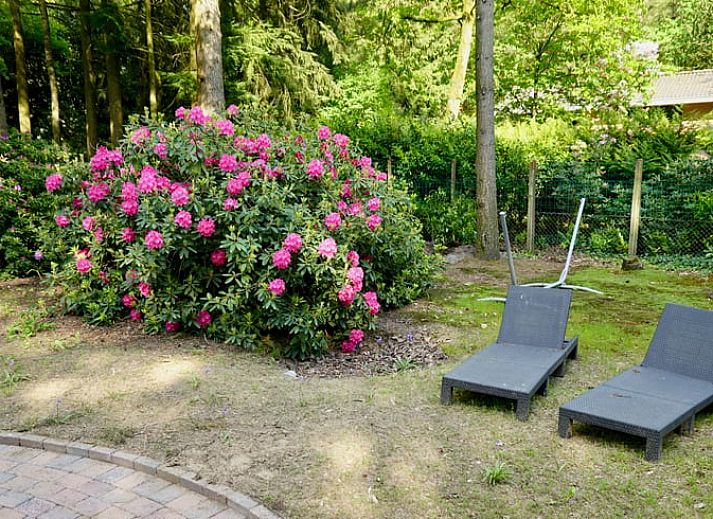 Gezellig vakantiehuisje in Bennekom omringd door Veluwse natuur, ideaal voor een ontspannen verblijf in Gelderland.