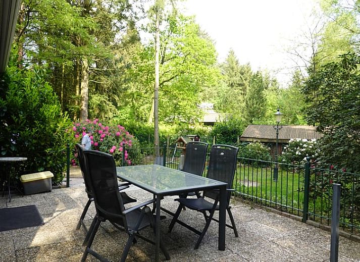 Rustiek bospad naar vakantiehuisje in Bennekom, gelegen op de Veluwe in Gelderland.