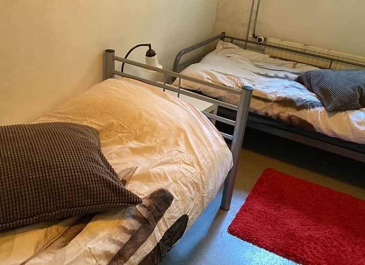 Tuin van vakantiehuisje in Bennekom met ligstoelen en kleurrijke bloemen, midden in de Veluwe.