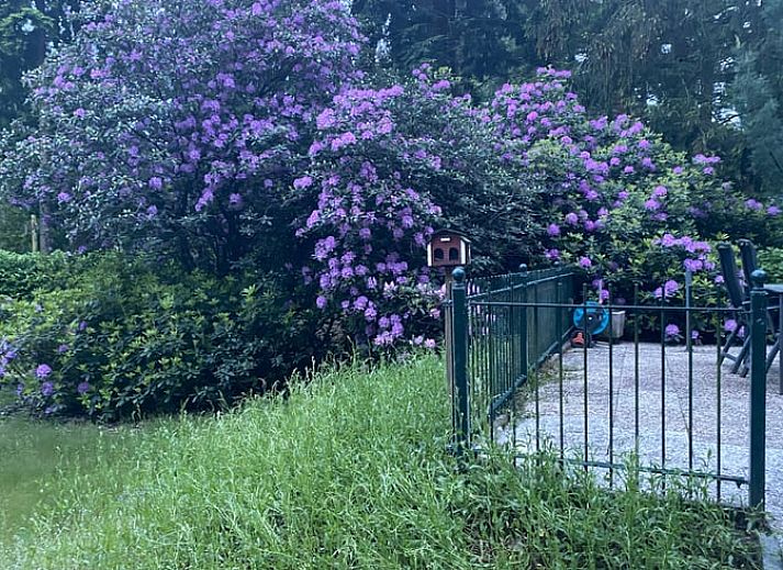Tuin van vakantiehuisje in Bennekom met ligstoelen en kleurrijke bloemen, midden in de Veluwe.