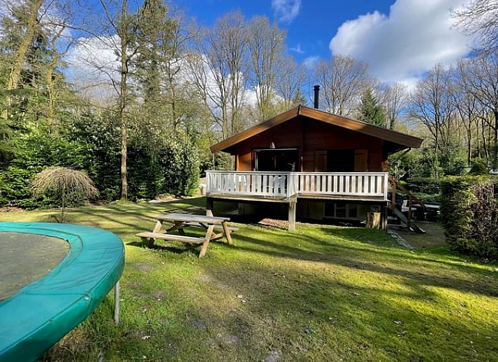 Cottage in Bennekom, Veluwe: charmantes Cottage mit Veranda in der Natur von Gelderland.