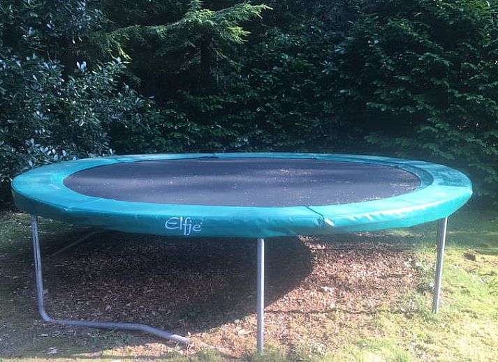Cottage in Bennekom, Veluwe: charmantes Cottage mit Veranda in der Natur von Gelderland.