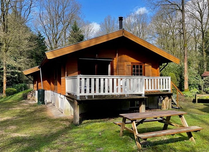Cottage in Bennekom, Veluwe: charmantes Cottage mit Veranda in der Natur von Gelderland.