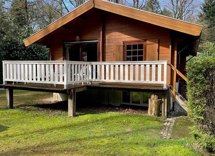 Gemuetliches Ferienhaus Cottage in Bennekom, Veluwe, mit Veranda und gruenem Garten.
