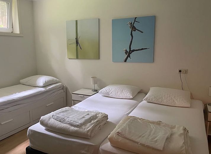 Trampolin im Garten des Ferienhauses in Bennekom, Veluwe, ideal fuer die Unterhaltung der Kinder.