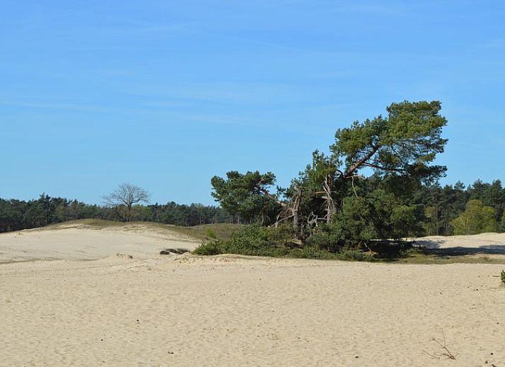 Cottage in Bennekom, Veluwe: Ferienhaus im Gruenen in Gelderland.
