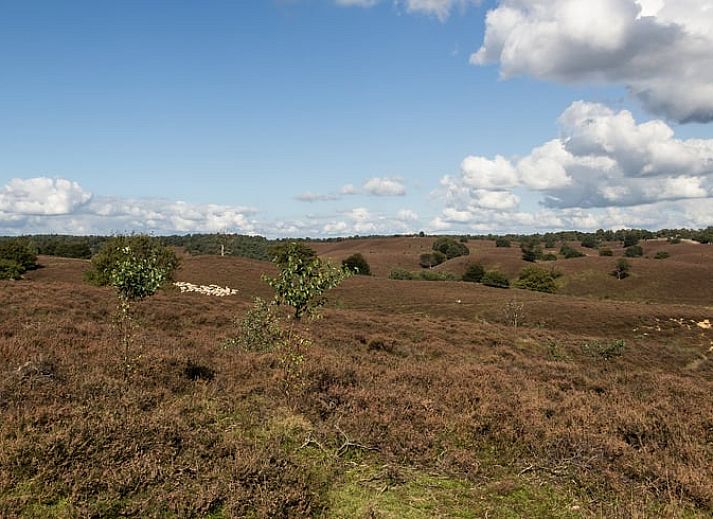 Cottage in Bennekom, Veluwe: Ferienhaus im Gruenen in Gelderland.