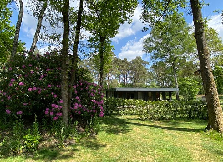 Guest house 325911 - Holiday property Veluwe - Huisje in Bennekom