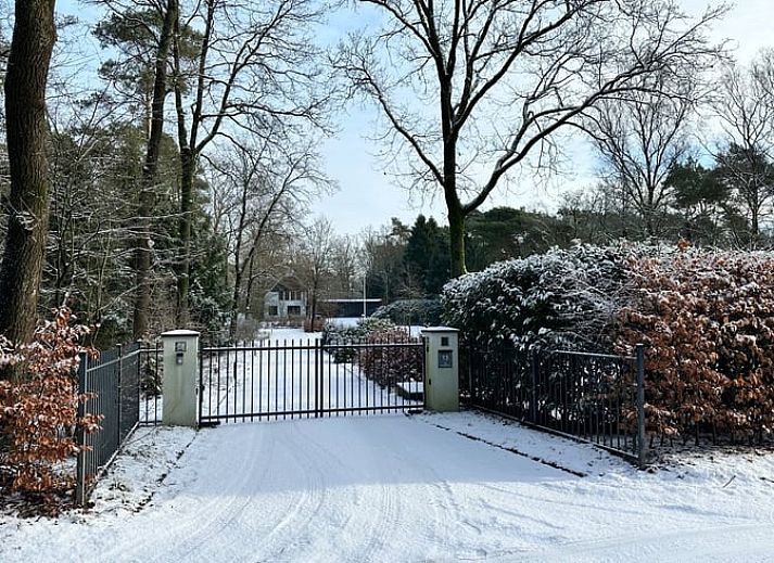 Guest house 325911 - Holiday property Veluwe - Huisje in Bennekom