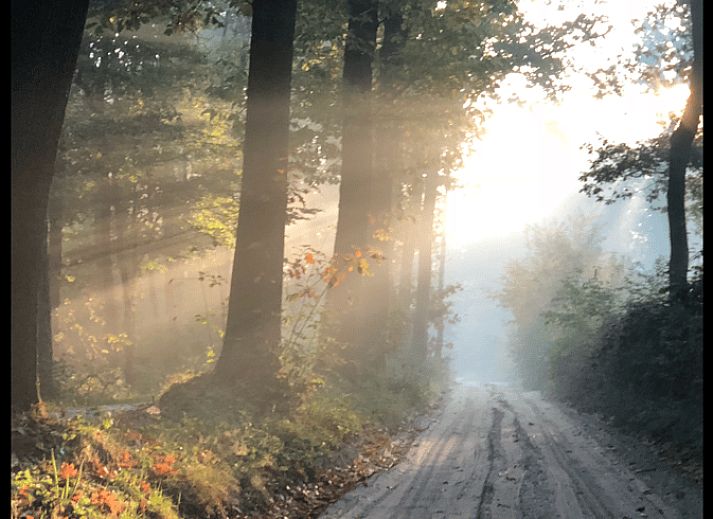 Guest house 325911 - Holiday property Veluwe - Huisje in Bennekom