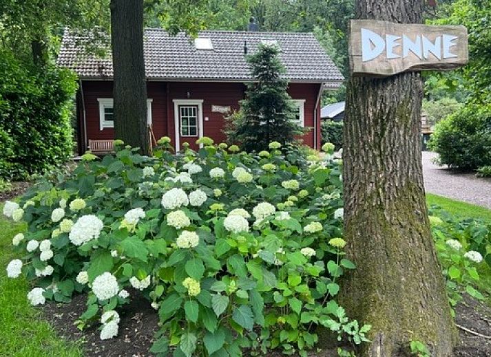 Unterkunft 325914 • Ferienhaus Veluwe • Boshuis Denne 