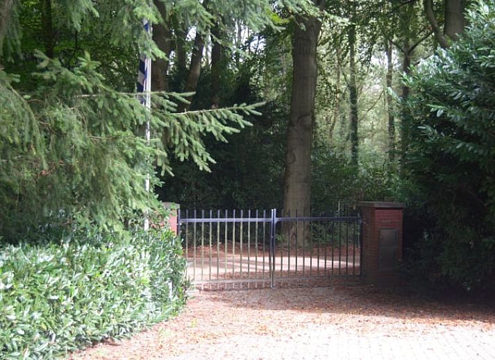 Geniet van ontspanning bij het Huisje in Bennekom, Veluwe, met een luxe hot tub op het terras omringd door groene natuur.