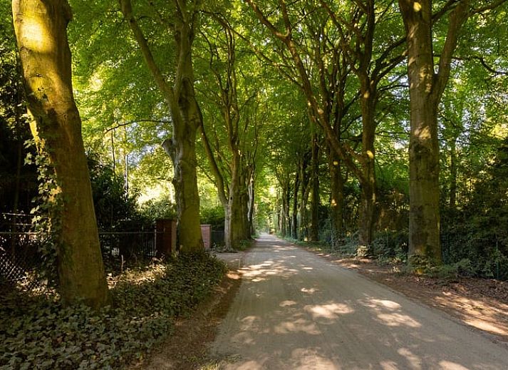 Gezellige woonkamer van Huisje in Bennekom, vakantiehuis op de Veluwe in Gelderland, met comfortabele zithoek en moderne keuken.