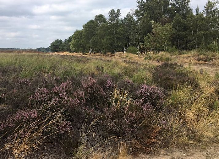 Gezellige woonkamer van Huisje in Bennekom, vakantiehuis op de Veluwe in Gelderland, met comfortabele zithoek en moderne keuken.