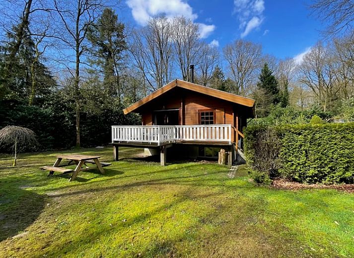Guest house 325917 - Holiday property Veluwe - Vakantiehuisje in Bennekom
