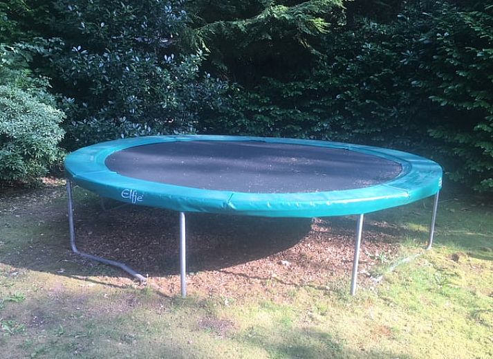 Guest house 325917 - Holiday property Veluwe - Vakantiehuisje in Bennekom