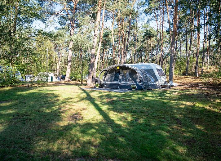 Unterkunft 326004 • Mobilheim Veluwe • Coldenhove | Comfort campingplaats | C3 