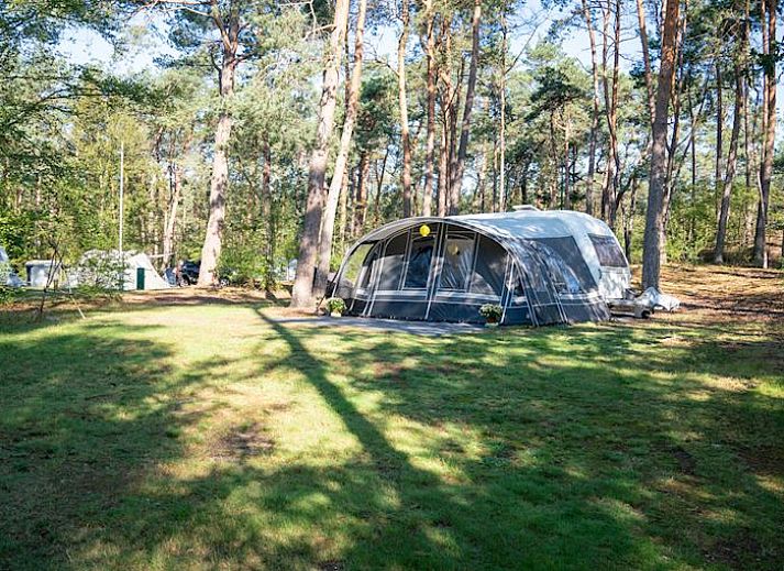 Verblijf 326004 • Stacaravan Veluwe • Coldenhove | Comfort campingplaats | C3