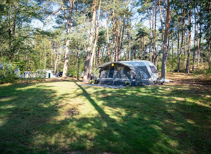 Coldenhove Comfort camping site C3 in Eerbeek, Veluwe offers a spacious spot surrounded by nature.