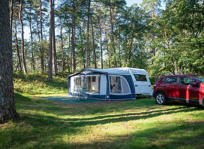 Cozy camping experience at Coldenhove Comfort camping site C3, Eerbeek, Veluwe.