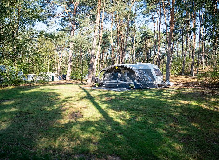 Cozy camping experience at Coldenhove Comfort camping site C3, Eerbeek, Veluwe.