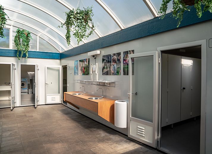 Cozy camping experience at Coldenhove Comfort camping site C3, Eerbeek, Veluwe.