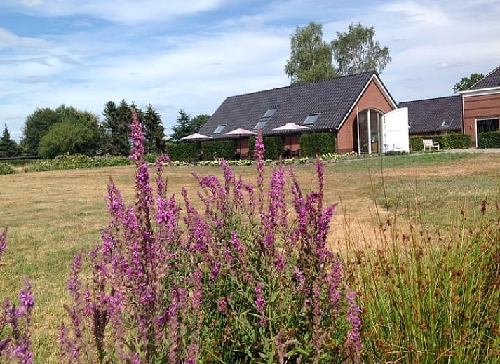 Vakantiehuisje in Eerbeek biedt een prachtig uitzicht op de Veluwse natuur, gelegen in het groene landschap van Gelderland.