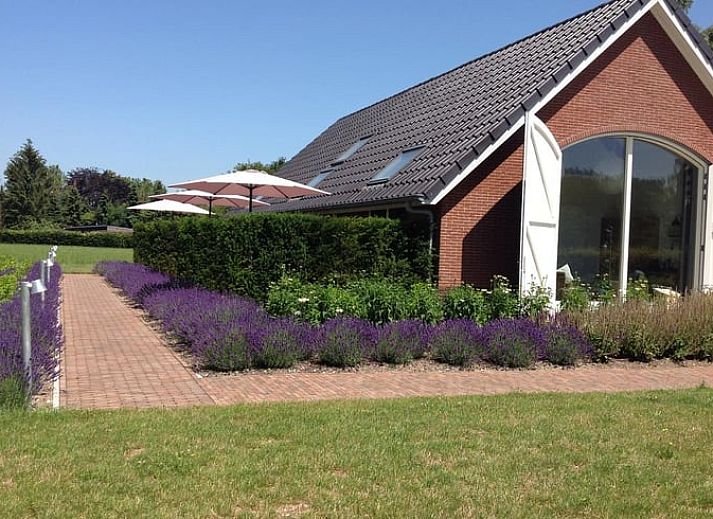 Vakantiehuisje in Eerbeek op de Veluwe, Gelderland, omgeven door een uitgestrekt groen veld en rustieke charme.