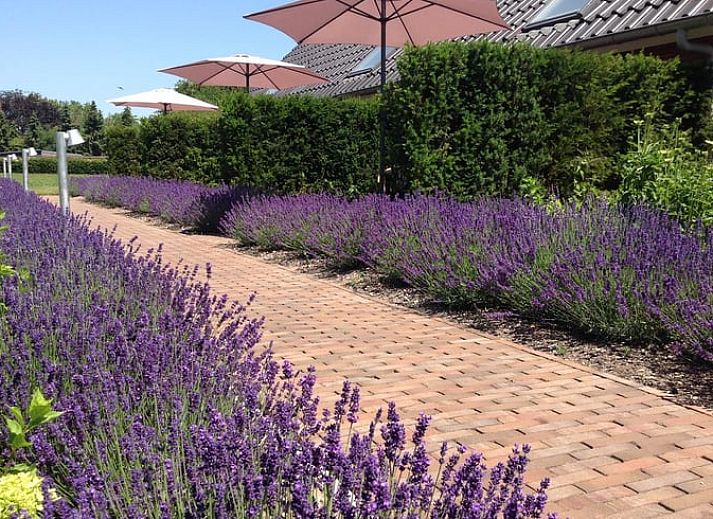 Vakantiehuisje in Eerbeek op de Veluwe, Gelderland, omgeven door een uitgestrekt groen veld en rustieke charme.