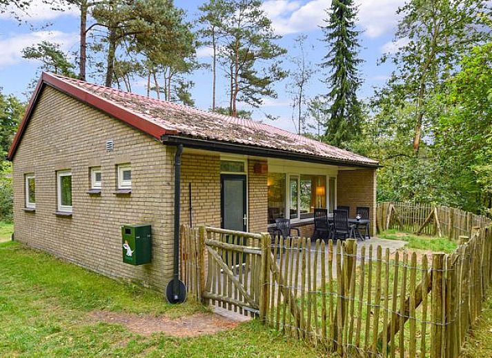 Lichte zithoek met uitzicht op natuur in Coldenhove 6-persoons hondenbungalow in Eerbeek, Veluwe.