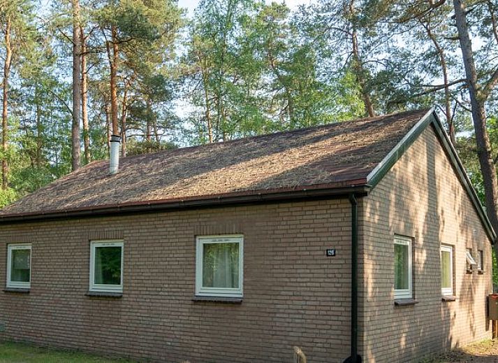 Eetruimte met uitzicht op tuin in Coldenhove 6-persoons hondenbungalow, Eerbeek, Veluwe.