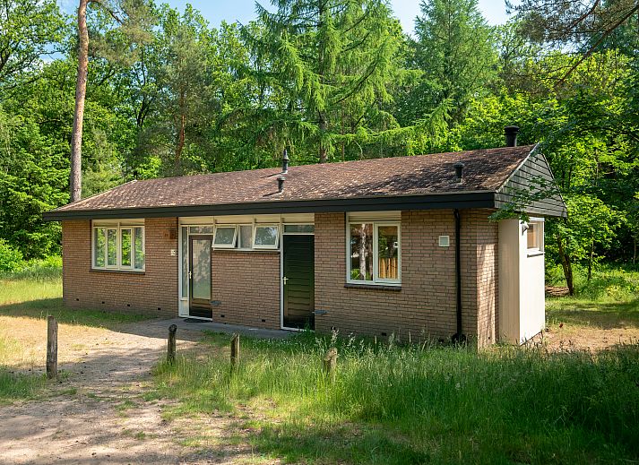 Coldenhove 8-Personen-Bungalow in Eerbeek, Veluwe, umgeben von gruener Natur.
