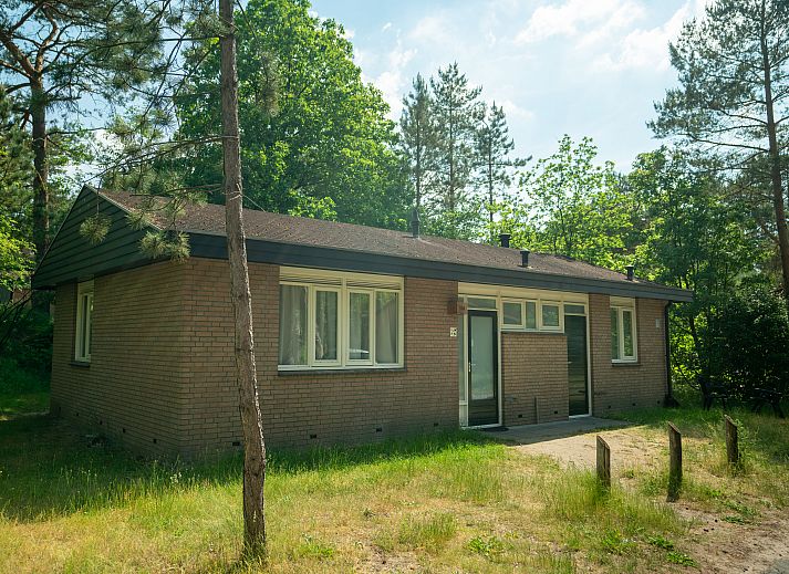 Coldenhove 8-Personen-Bungalow in Eerbeek, Veluwe, umgeben von gruener Natur.